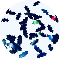 Polyester Glitter - Black Holo Bats Glitter Shape by Glitter Heart Co.&trade;