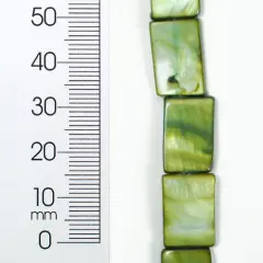 6 Packs of Tinted Shell 10x15mm Rect Olive 2x8"