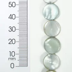 6 Packs of Tinted Shell 12mm Round Gray 2x8" Strand