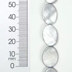 6 Packs of Tinted Shell 10x17mm Oval Gray 2x8"