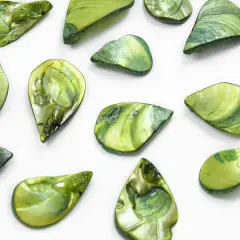 6 Packs of Tinted Shell Fan Olive 2/8" Strand