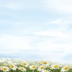 Great Papers! Daisy Day Stationery Letterhead, Invitations and Announcements, Printer Friendly, 8.5"x11", 80 Pack