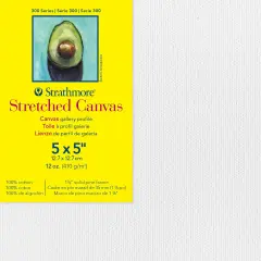 Strathmore 300 Series Gallery Stretch Canvas-5"X5"