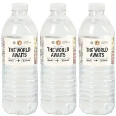 Big Dot of Happiness World Awaits - Travel Themed Party Water Bottle Sticker Labels - Set of 20