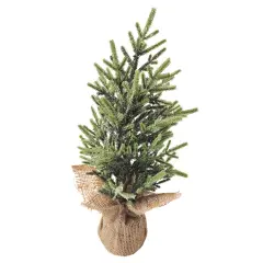 Northlight Frosted Ice Pine Artificial Christmas Tree with Jute Base - 16.5" Green