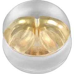 4 14K Yellow Gold Friction Ear Nut with Silicone Cushion 5.0mm Wide x 4.2mm High