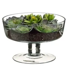 Allstate Succulent Garden Artificial Spring Decoration with Clear Glass Vase - 6.75" Green