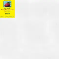 Strathmore 300 Series Traditional Stretch Canvas-16"X20"