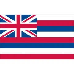 Hawaii Flag On Stick 4" x 6"