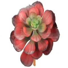 Set of 12: Artificial Burgundy & Green Aeonium Succulent Plant | 5.5" Wide | Indoor/Outdoor Use | Faux Succulents | Tabletop Accents | Party & Event | Home & Office Decor, Floral Home by Artificial Flowers