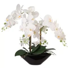 21-Inch White Phalaenopsis Orchid Arrangement in Black Ceramic Vase with Real Touch Foliage for Elegant Home D&eacute;cor, Floral Home by Artificial Flowers