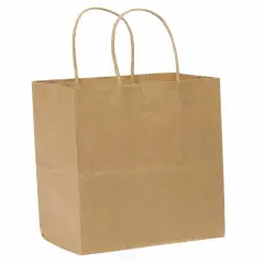 Kraft Paper Bag Party Shopping Gift Bags Retail Merchandise with Handles