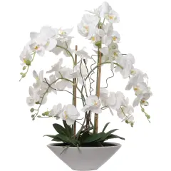Phalaenopsis Orchid Arrangement: 23-Inch, Floral D&eacute;cor, Floral Home by Artificial Flowers