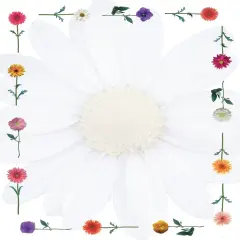 Great Papers! Daisies Stationery Letterhead, Invitations and Announcements, Printer Friendly, 8.5"x11", 80 Pack