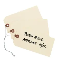 Avery Shipping Tags with Wire, 11.5 pt. Stock, 6-1/4" x 3-1/8", 1,000 Manila Hang Tags (12608)