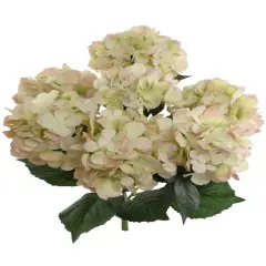 Green & Pink Hydrangea Bush, 20-Inch, 7 Silk Blooms & Foliage, UV Resistant, Floral Bush, Floral Home by Artificial Flowers