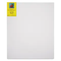Strathmore 300 Series Stretched Cotton Canvas - 3/4" Profile, 20" x 24"