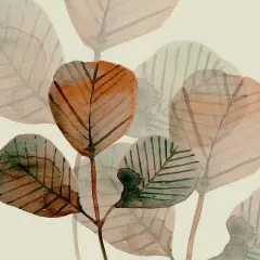 Squared Brown Leaves 1 Poster Print by Boho Hue Studio - Item # VARPDXBHSSQ024A