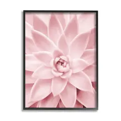 Stupell Industries Pastel Pink Succulent Framed Giclee Art Black Frame