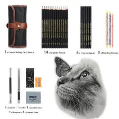 29 Pieces Drawing Pencils Sketch Pencil Art Supplies Set for Kids Adults beginners Professional Sketching Art Graphite Charcoal Blending Stump Pencils kit