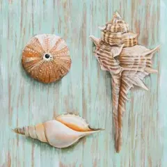 Bretagne III Poster Print by Ted Broome - Item # VARPDX1BR862