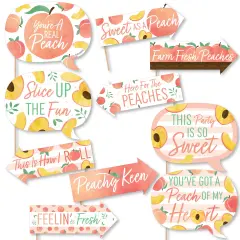 Big Dot of Happiness Funny Sweet as a Peach - Fruit Themed Baby Shower or Birthday Party Photo Booth Props Kit - 10 Piece