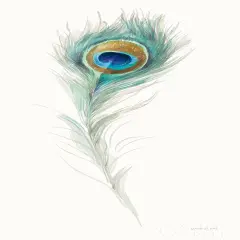 Jaipur Ix Poster Print by Danhui Nai - Item # VARPDX38678