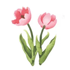Small Tulip Wall Stencil | 3039A by Designer Stencils | Reusable Art Craft Stencils for Painting |
