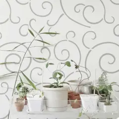 Spiral Scroll Wall Stencil