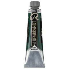 Rembrandt Artists' Oil Color - Green Earth, 40 ml tube