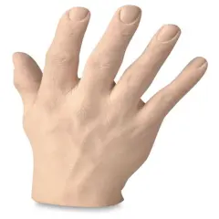Male Human Hand Model - Right Spread