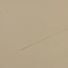Canson Mi-Teintes Drawing Papers - 8-1/2" x 11", Pearl, 25 Sheets