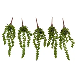 Faux Succulents - String of Pearls [5 Pack]