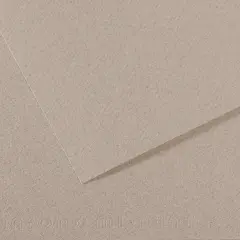 Canson Mi-Teintes Drawing Papers - 8-1/2" x 11", Moonstone, 25 Sheets