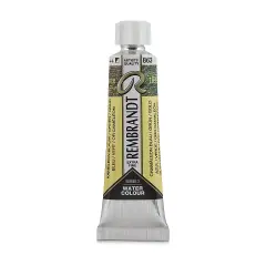 Rembrandt Artist Watercolors - Chameleon Blue Green Gold, 10 ml tube