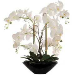 23-Inch Phalaenopsis Orchid Arrangement - Elegant Silk Floral Accent for Home & Office Decor, Floral Home by Artificial Flowers