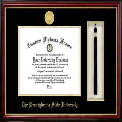 Penn State University 11w x 8.5h Tassel Box and Diploma Frame