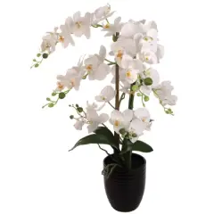 22-Inch Phalaenopsis Orchid Arrangement in Black Ribbed Ceramic Vase - Lifelike Silk Flowers & Latex Foliage for Elegant Home & Office D&eacute;cor - Timeless Floral Arrangement, Floral Home by Artificial Flowers