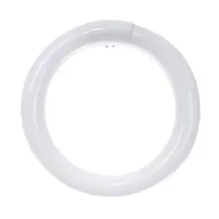 SUNLITE FC8T9/DL 22w 6500k Daylight Circline Fluorescent Light Bulb