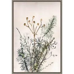 Bouquet 5 by Pernille Folcarelli Canvas Art Framed