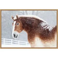 Snowy Draft Horse by Sue Schlabach Canvas Art Framed