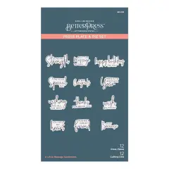 Spellbinders BetterPress Letterpress Press Plates & Dies Set-A Little Message 12/Plates & 12/Dies