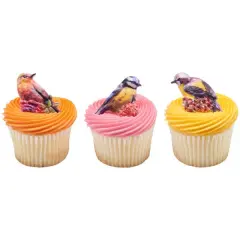 Springtime Birds Cupcake Rings, 12ct