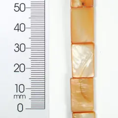 6 Packs of Tinted Rectangular Shells 8 in Strand Pack of 2