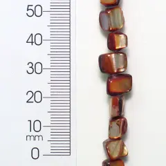 6 Packs of Tinted Shell Nugget Beige 2x8" Strand