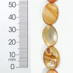 6 Packs of Tinted Shell 10x17mm Oval Beige 2x8"