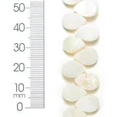 6 Packs of Tinted Shell Trdrp Natural 2x8" Strand