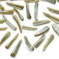 6 Packs of Spiked Tinted Shell Beads - Natural - 2 x 8" Strand