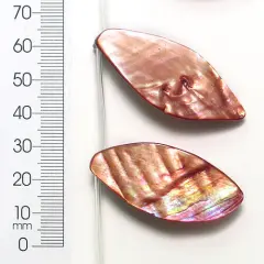 6 Packs of Tinted Shell Leaf Beige 2x8" Strand