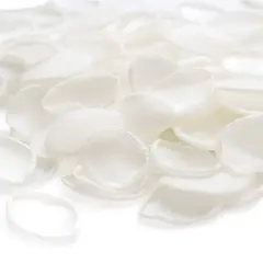 $product['description']['title']}